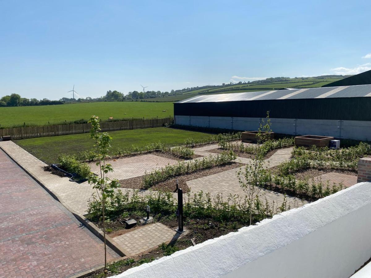 Ballymullock Barn Lofts Carncastle Dış mekan fotoğraf